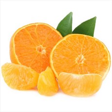 3a368642b5167048e8017c2c88192dd748a26b45d5dc5244c39e7e3446a3.jpg