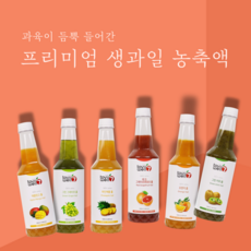 과일소주