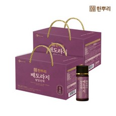 [CJ공식] 한뿌리 배도라지100ml10입 2박스