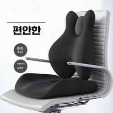 의자형안마기 사무실 쿠션 온찜질 진동 허리 마사지기
