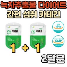 다이어트하루칼로리