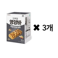 김규흔영양바