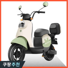 전기바이크 TOP01