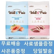 고양이펠리웨이