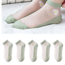 데이지스타킹