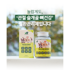 강아지가 더 좋아하는 펫지키미 강아지관절영양제 강아지슬개골영양제 반려동물뼈건강근육건강 고양이영양제, 1팩, 면역/항산화, 강아지관절슬개골영양제 반려동물뼈건강근육건강 고양이영양제