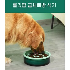 비만방지 강아지밥그릇 대형견 급체방지식기 불안 개, 1개