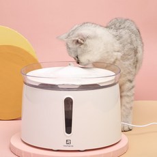 리틀홈런가격