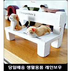 강원네이처로드