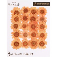 도매21호꽃 TOP01