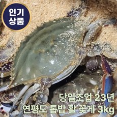 [국내산] [당일조업] [산지직송] 연평도 급냉 숫꽃게 꽃게 숫게 / 꽃게탕 꽃게찜 간장게장 양념게장 푸팟퐁커리, 1개, 3kg