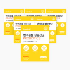 펫펫펫 강아지 유산균 고양이 생유산균 프로바이오틱스 굿랩 30p, 30회분, 장건강/유산균, 6개