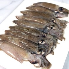 숙회용 대왕 꼴뚜기 300g 2개