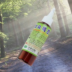 백일호 참숯 목초액 원액 족욕 냉장고냄새, 1개, 100ml