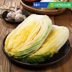 [KT알파쇼핑][즉시출고] [서안동농협] HACCP 풍산 절임배추 10kg