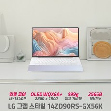 LG 그램 스타일 14ZD90RS-GX56K i5 16G 256GB OLED 고해상도 999g 초경량 노트북