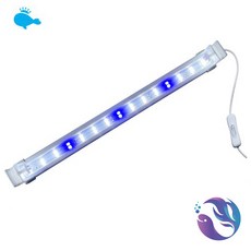 led1자등