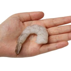 이유식새우살-추천-상품