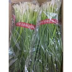국내산] 산지직송 당일손질 싱싱한 쪽파 깐쪽파 잔파 실파 손질쪽파 파김치용 1단 ( 900그람 내외입니다.), 1박스, 900g
