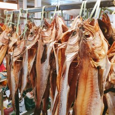 속초중앙시장반건조생선