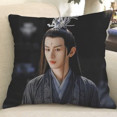 성의 유리미인살 사진 쿠션 굿즈 우사봉 중국배우 중드, B