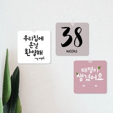 마이미닝 초음파사진정리 임산부 주수카드