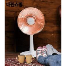 클란츠 열선풍기 히터기 온열 전기난로 소형난로 사무실 캠핑 가정용 좌석용 코일히터 전기히터, 히터1005(코일)