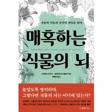 매혹하는 식물의 뇌:식물의 지능과 감각의 비밀을 풀다, 행성B, 스테파노 만쿠소, 알레산드라 비올라 행성B, 스테파노 만쿠소, 알레산드라 비올라