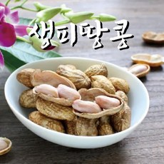 햇 피땅콩 생피땅콩 땅콩 1kg 3kg 5kg 10kg, 1box, 피땅콩1kg/box