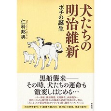 개들의 메이지 유신 포치의 탄생, 단일옵션, 단일옵션