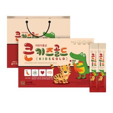 순수식품 큰 키즈 골드 어린이 홍삼 스틱 + 쇼핑백, 10g, 30개