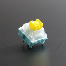 ttc홀리판다