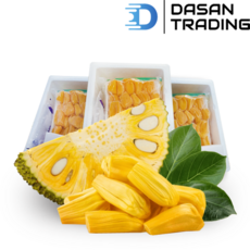 씨없는 냉동 잭프루트 (Seedless frozen jackfruit), 1개, 5.0kg
