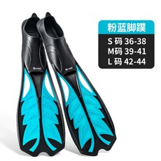 오리발시계초