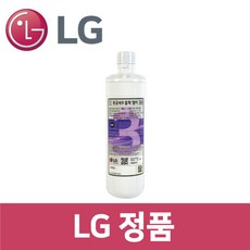 LG 정품 WD106AWT 정수기 중금속9 흡착 필터 wa40101, 1개