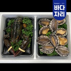 전복 랍스타 선물세트 활랍스터 600g700g 1미 활전복 9-10미20미 1kg, 고급형전복20미+랍스터600g