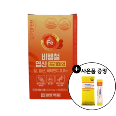 [본사정품] 식약청인증 비린맛 없는 비헴철 엽산 철분제 24mg함량 임산부 수유부 가임기 + 사은품증정, 1개, 60정