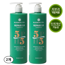 블루밍셀 약산성 비듬 지성 가려움 두피 각질 샴푸, 500ml, 2개