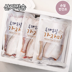 참가자미