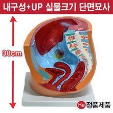 6f723ecc982130f21e842872f9b4cbd562072a85ab5159001695602f77c0.jpg