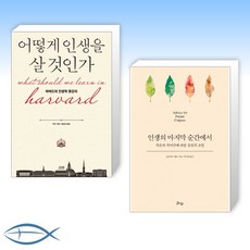 어떻게인생을살것인가(특별판양장)