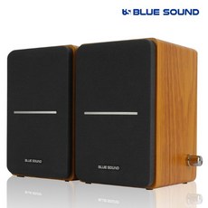 블루사운드node21