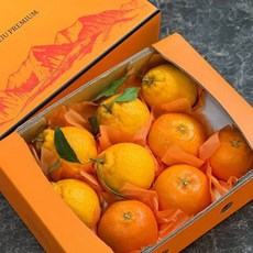 [오늘신선] 제주직송 한라봉1.25kg + 레드향1.25kg 혼합 선물세트(중과) 총2.5kg/10-12과 내외, 1개