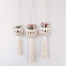 마크라메 틸란드시아 이오난사 플랜트행거 볼행잉 플랜테리어 벽걸이장식, 이오난사 포함