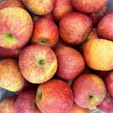 영주 안동 부사 사과 nb사과 못난이사과10kg 사과10키로 사과한박스, 1개, 정품사과10kg(한박스)