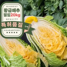 오라밀농장 특허받은 해남 황금 절임배추