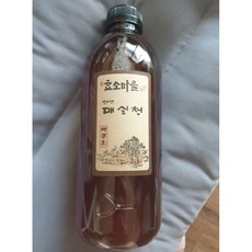 백준호효소마을