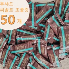 부샤드 씨솔트 밀크 초콜릿 320g(대략50개) 벨기에 초콜릿 코스트코, 320g(약50개)