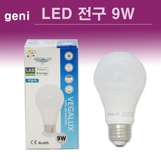 ledg9전구