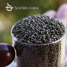 2024년 국산 볶은들깨 500g 볶음통들깨, 1개